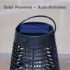PIC Solar Portable 1/2 Acre Bug Zapper, Mosquito Killer Torch, Black - Image 5