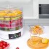 Ytppwn Freezer Dryers Mini 5-Tier food Dehydrator for Fruits - Automatic Fruit Dryer - djustable temp Control, 360° hot air Circulation - Preserver for Fruits, Veggies, Meats & Dog Treats - Image 3